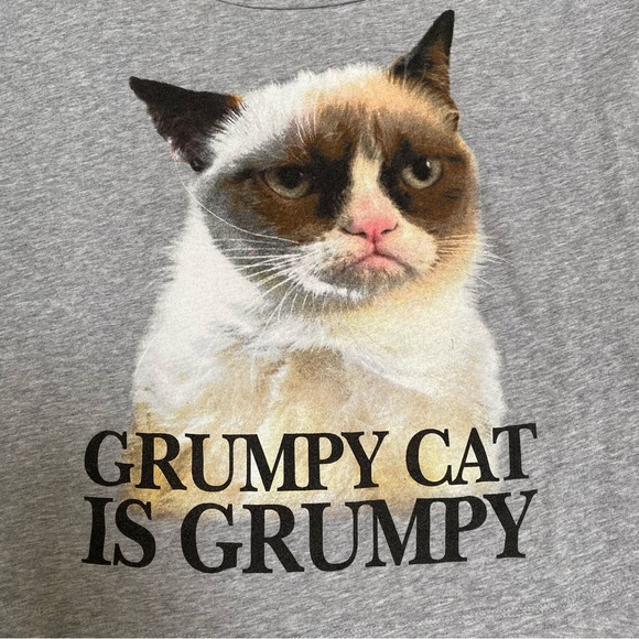 Grumpy Cat T-Shirt Grey - Picture 2 of 5